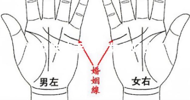 命好女性的手相,女人好的手相